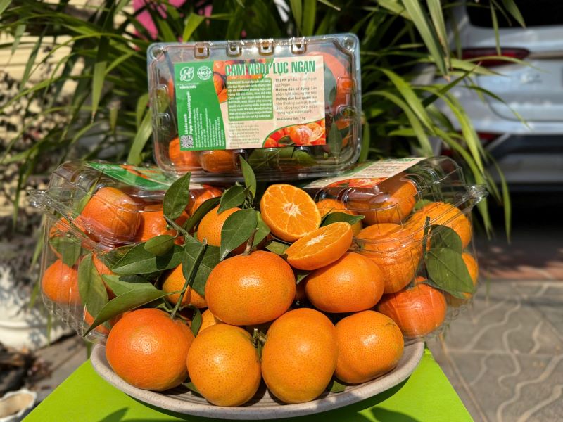 Cam ngọt Lục Ngạn - Hợp Tác Xã Dịch Vụ Nông Nghiệp Hằng Hiếu